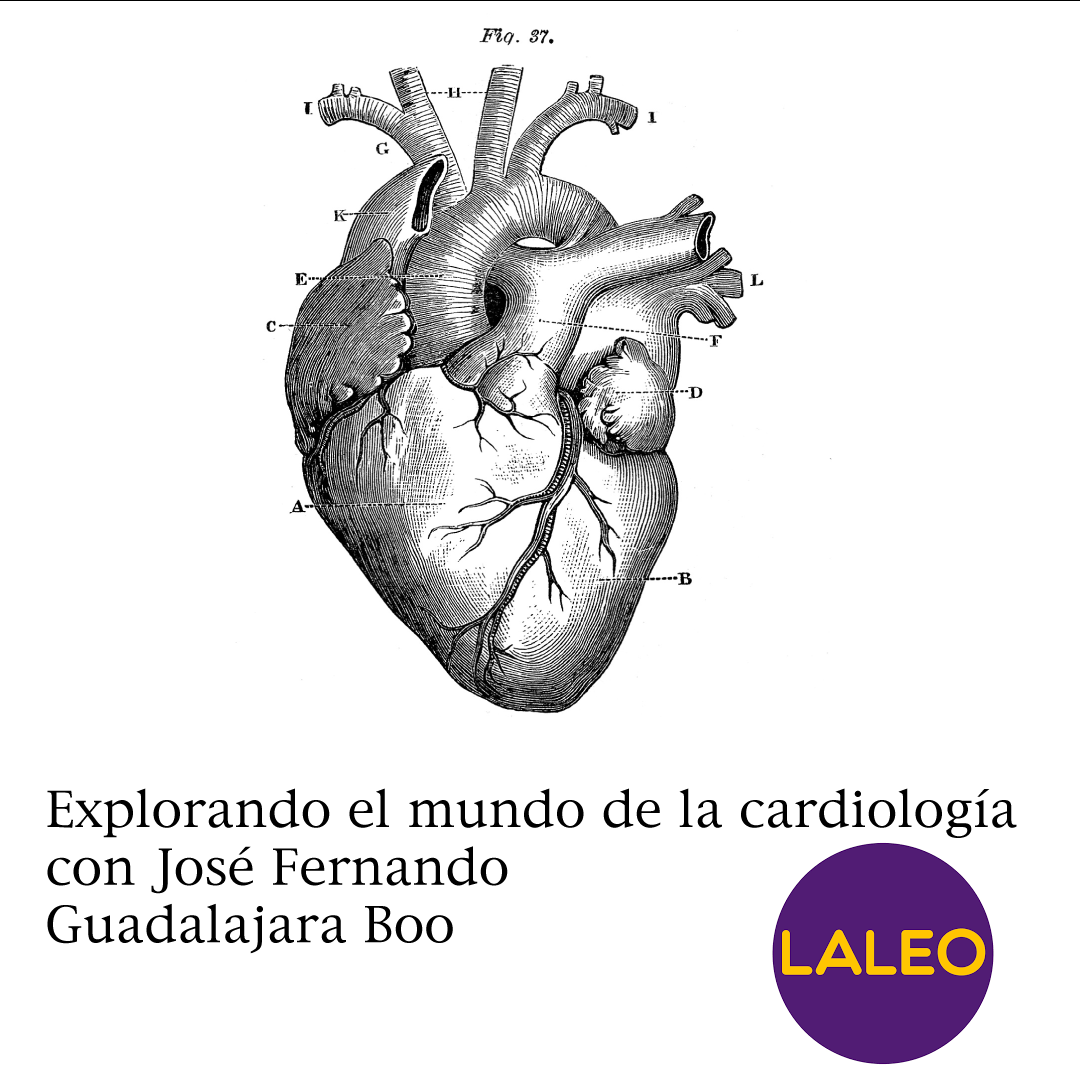 Explorando el mundo de la cardiología con José Fernando Guadalajara Boo