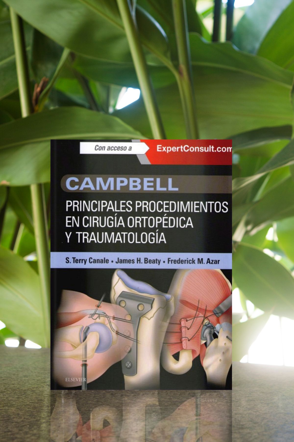 Campbell. Principales procedimientos en cirugía ortopédica y traumatología