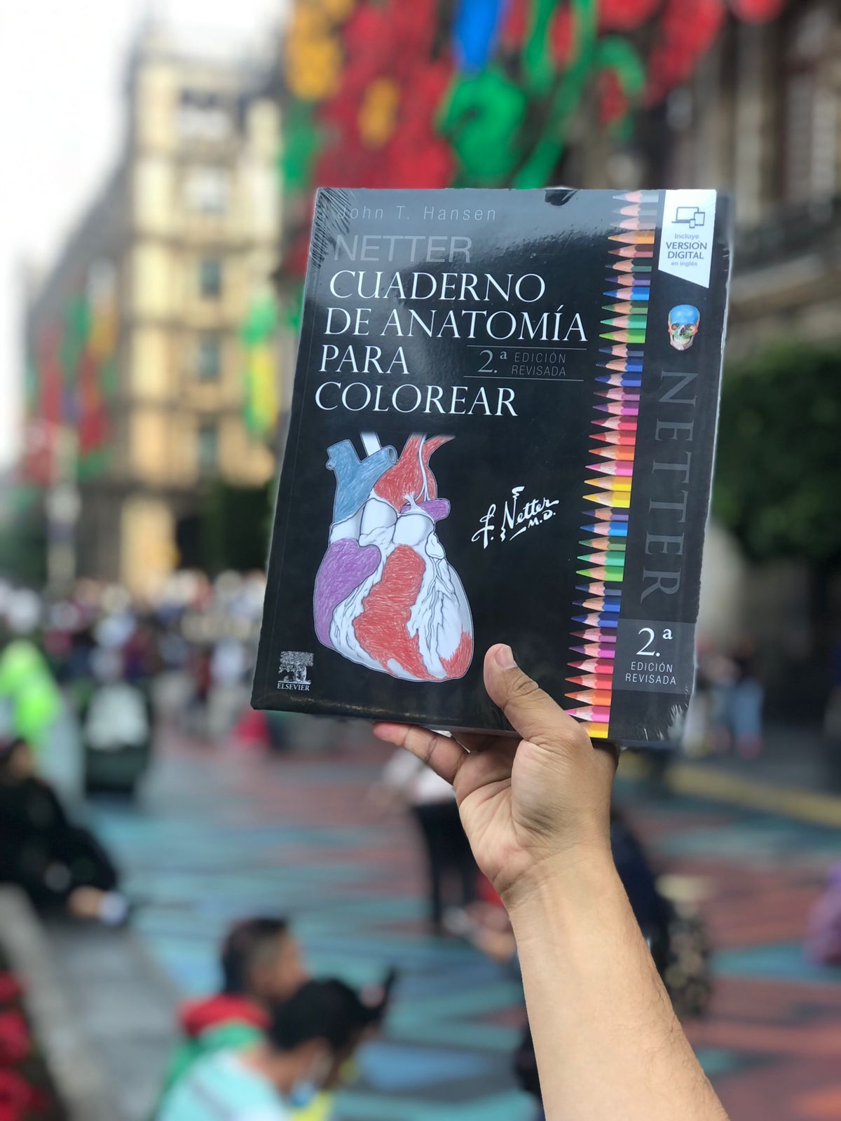 Netter Cuaderno de anatomía para colorear