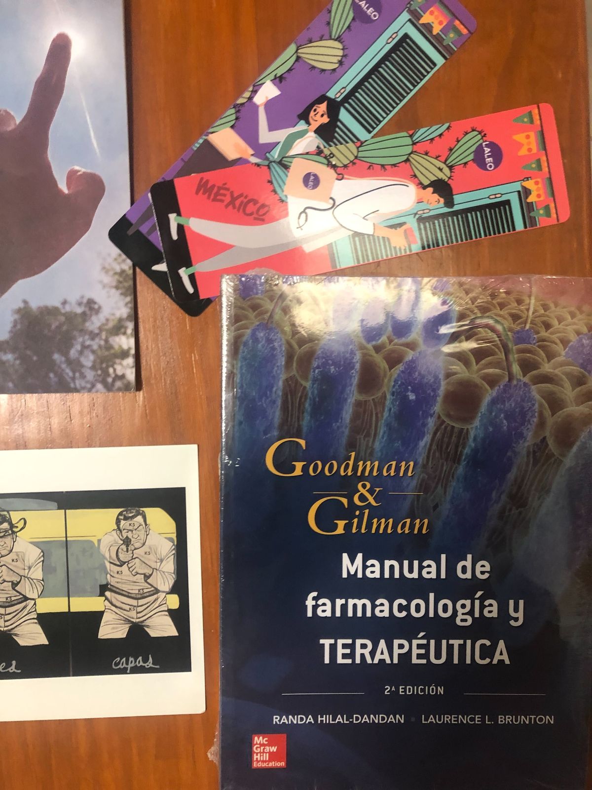 Manual de Farmacología y Terapéutica. Goodman & Gilman.