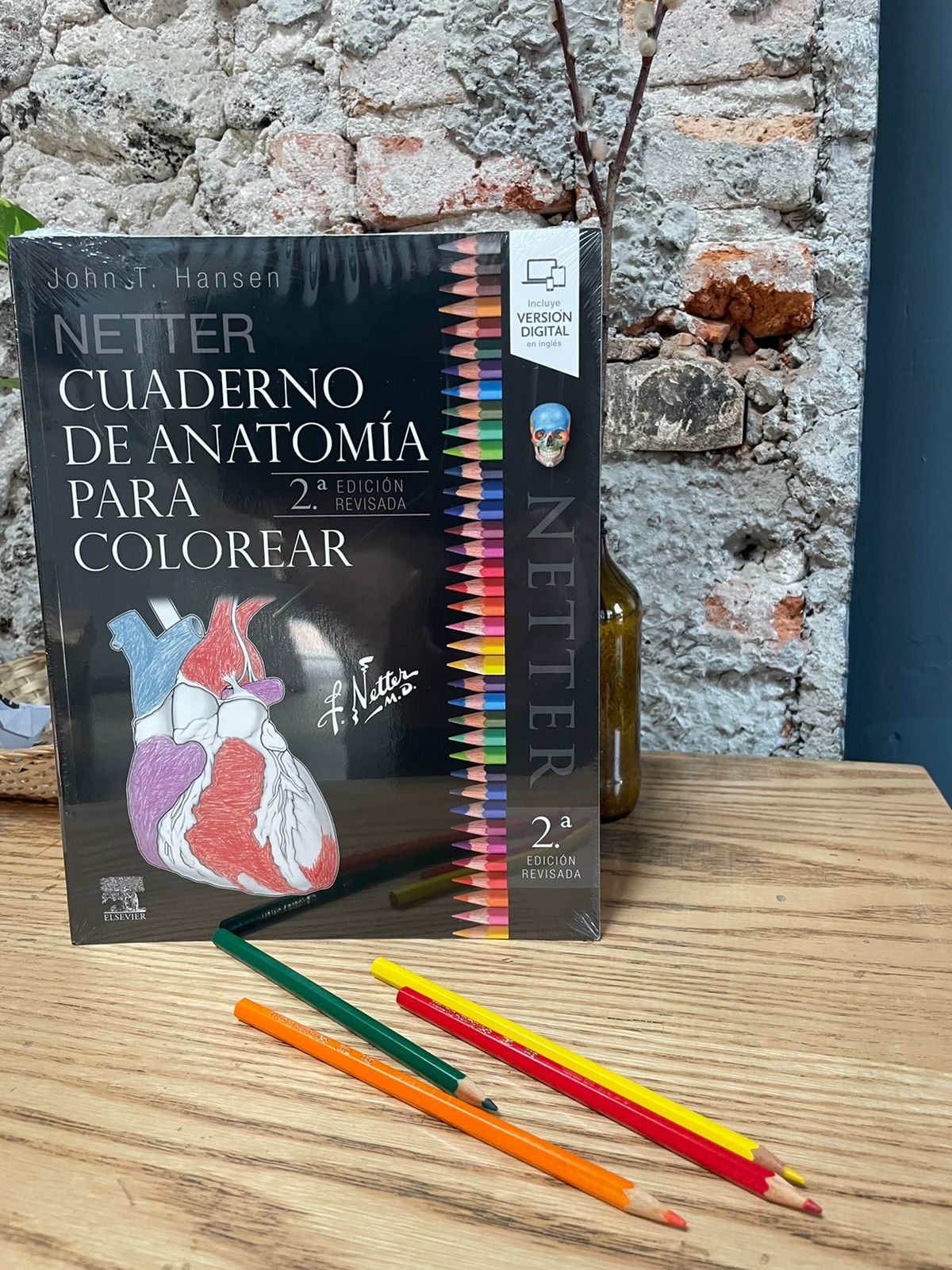 Netter Cuaderno de anatomía para colorear