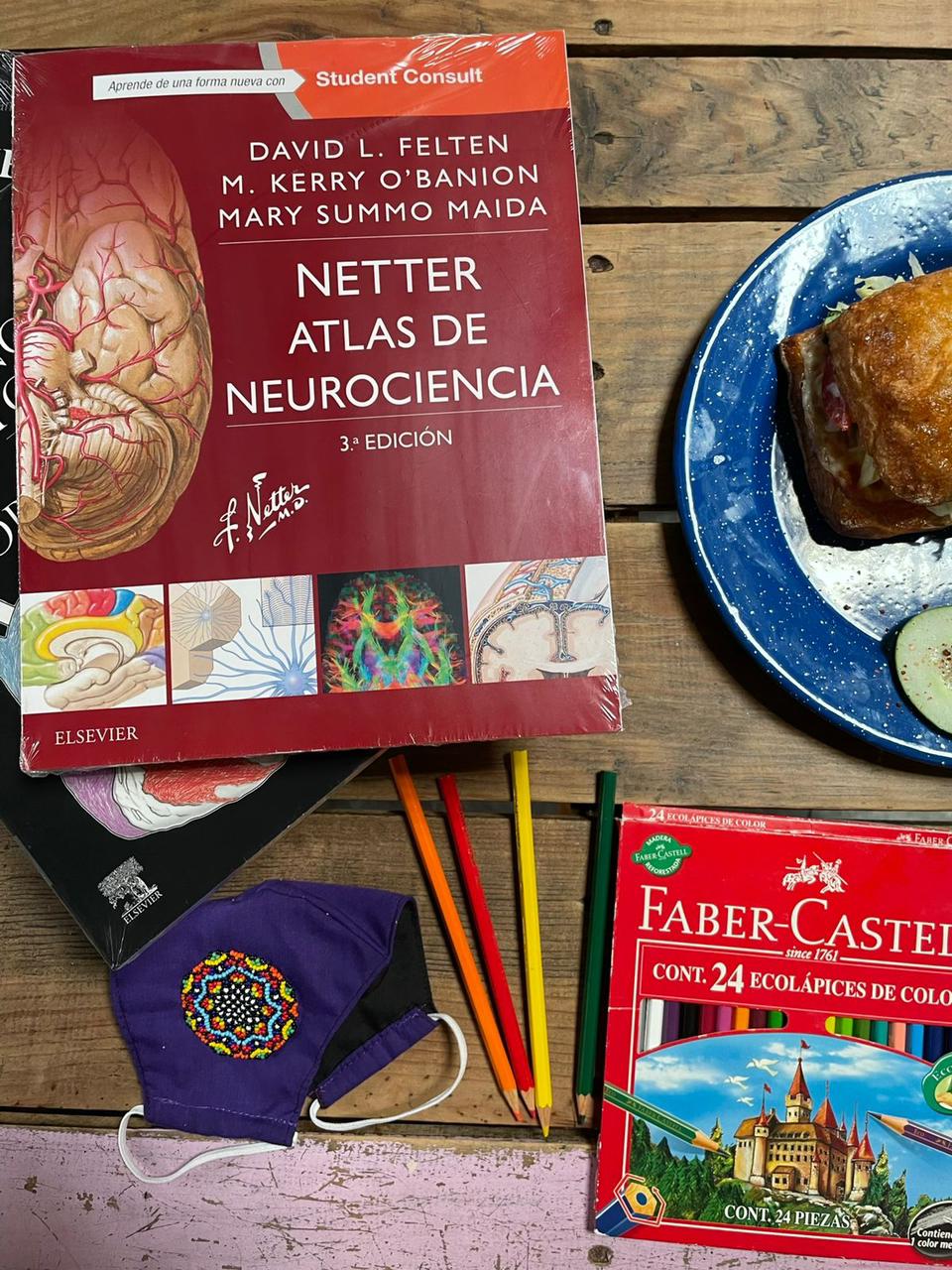 Netter. Atlas de neurociencia