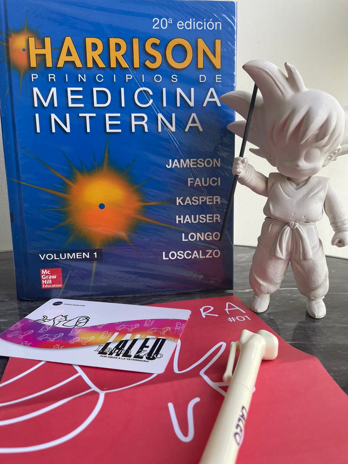 Harrison. Principios de Medicina Interna