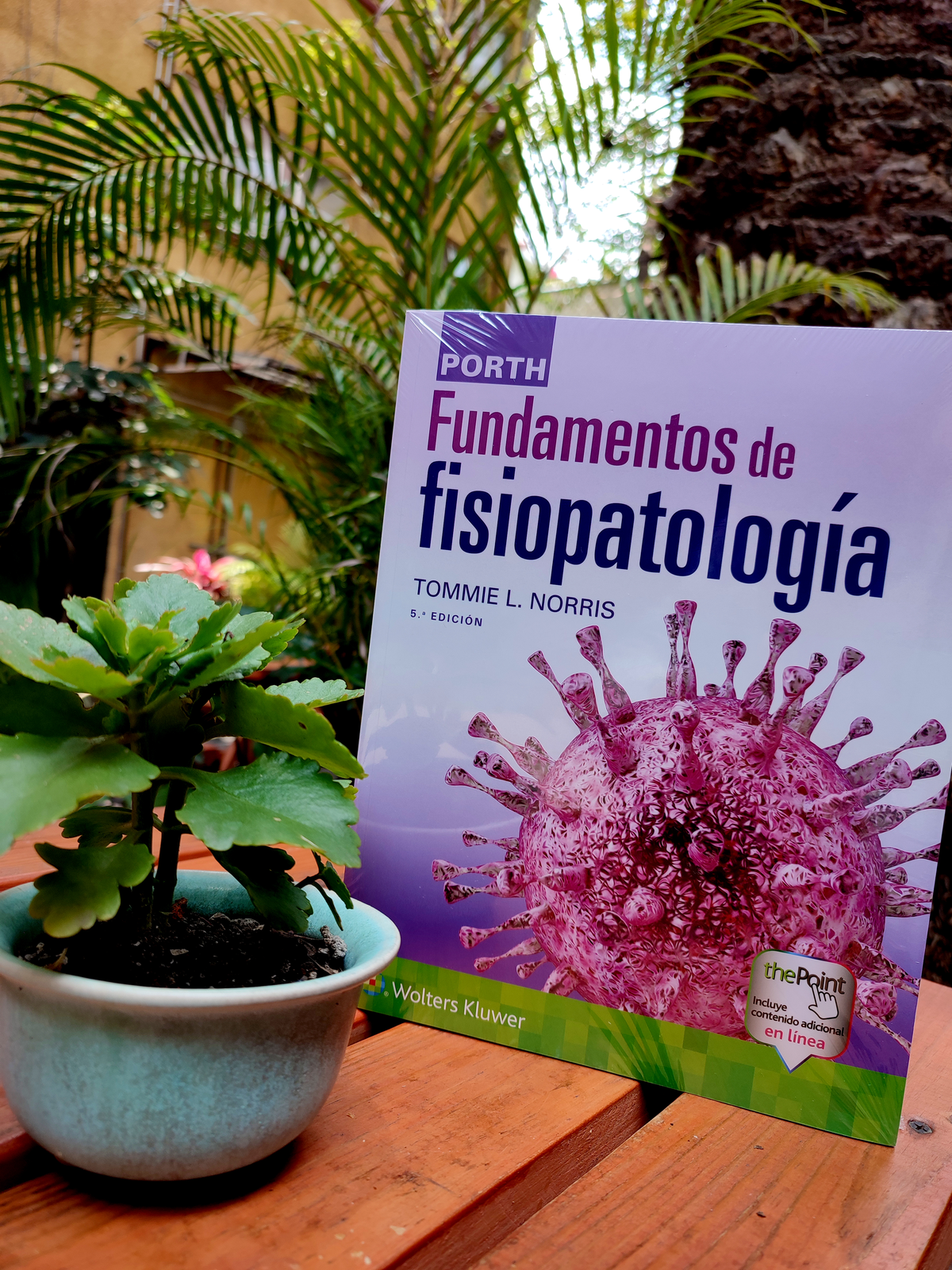 Porth. Fundamentos de fisiopatología