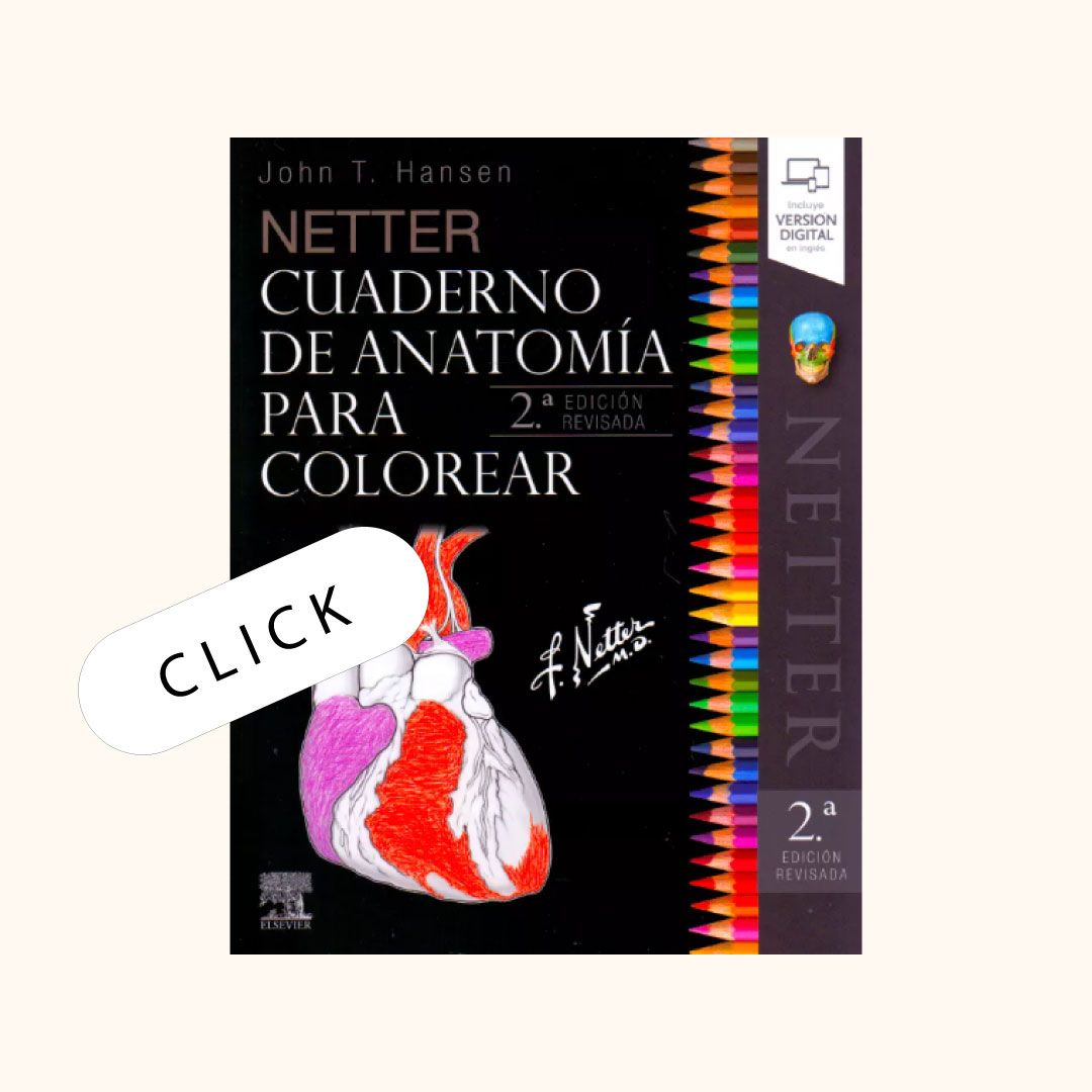 Netter Cuaderno de anatomía para colorear