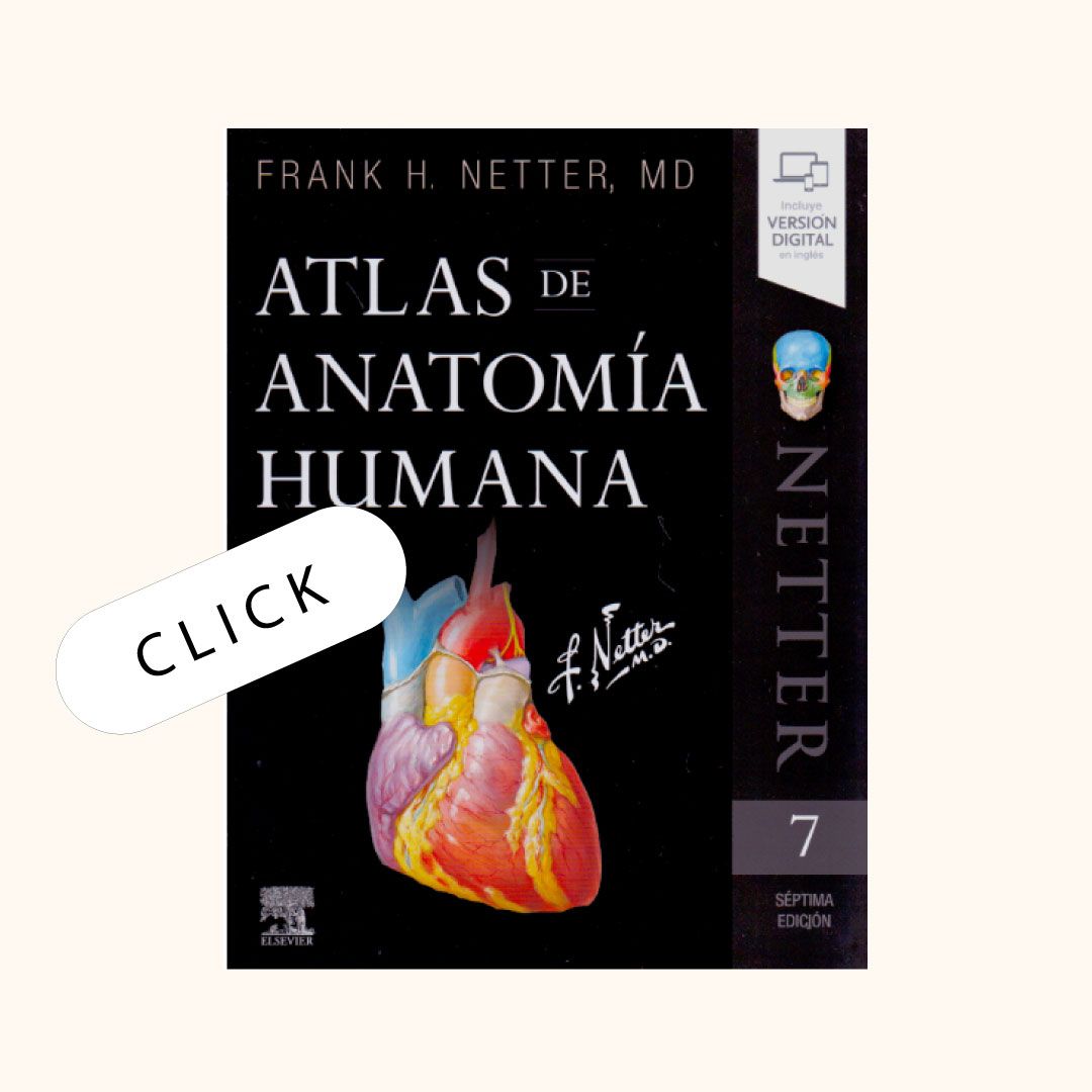 Mini-Netter. Atlas de anatomía humana