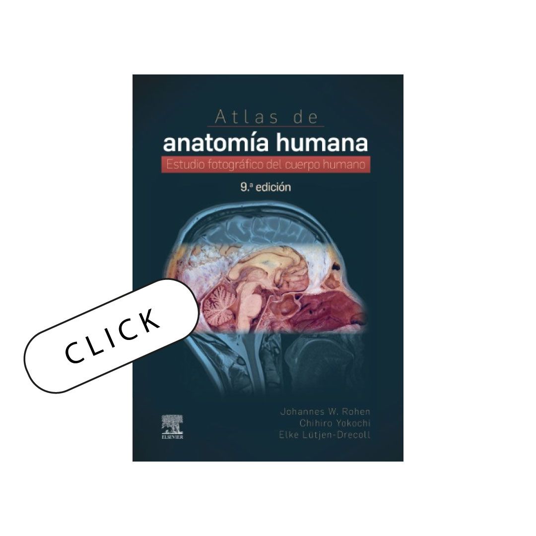 Atlas de anatomía humana