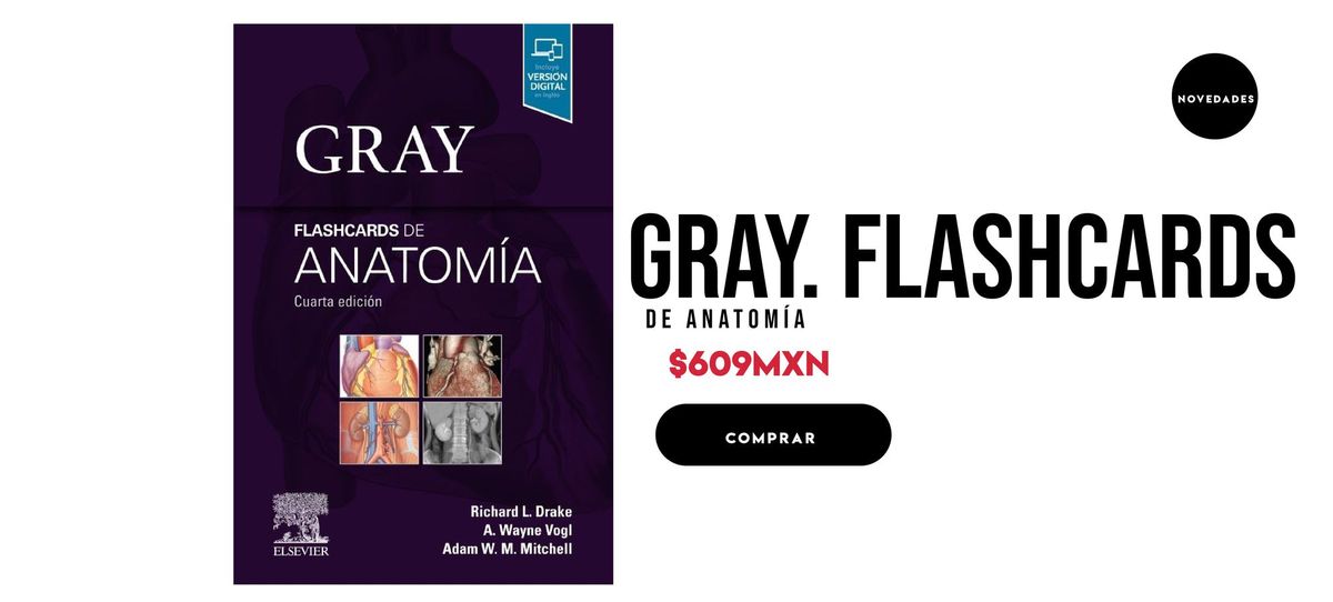 Gray. Flashcards de Anatomía