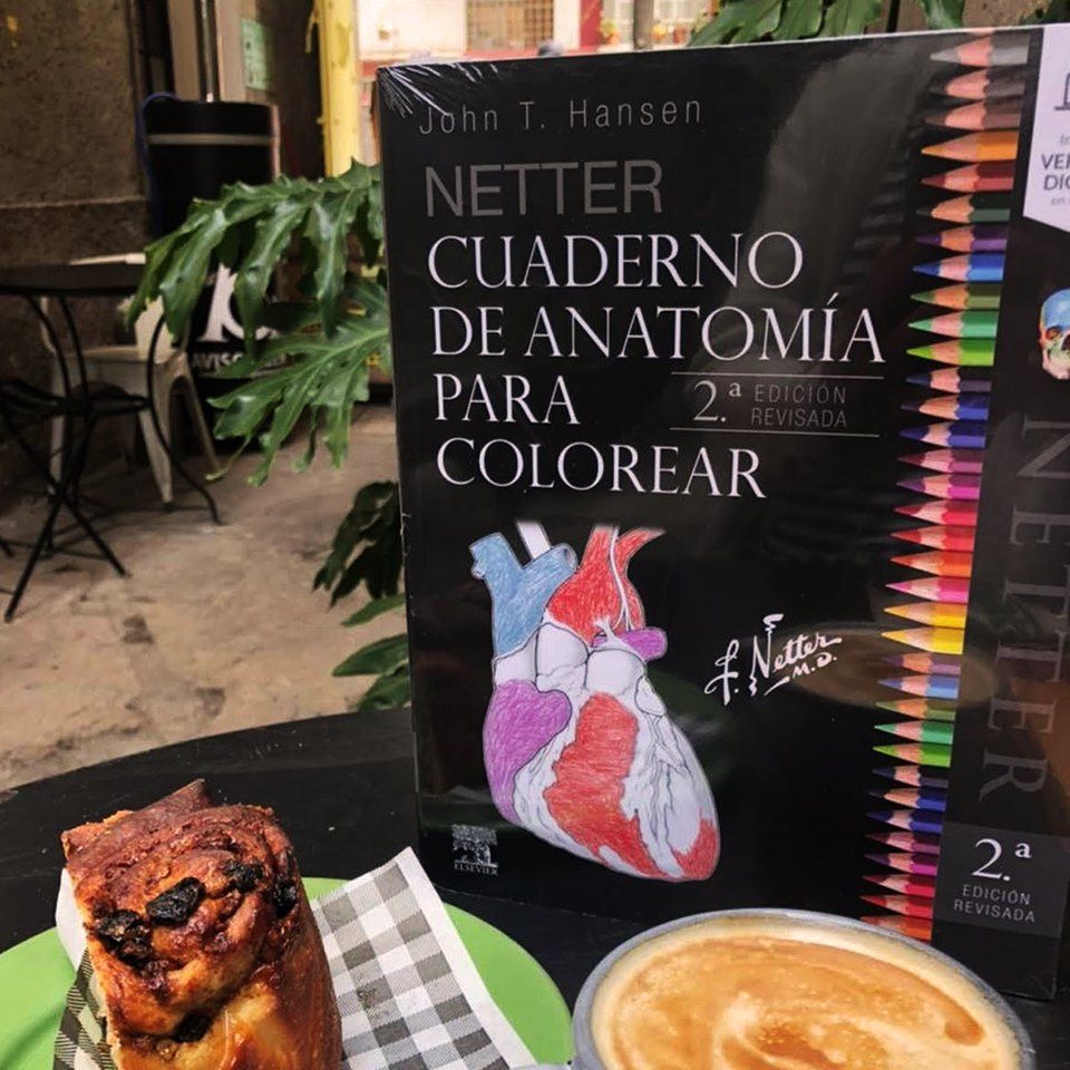 Netter Cuaderno de anatomía para colorear