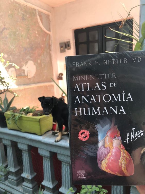 Atlas de anatomía humana