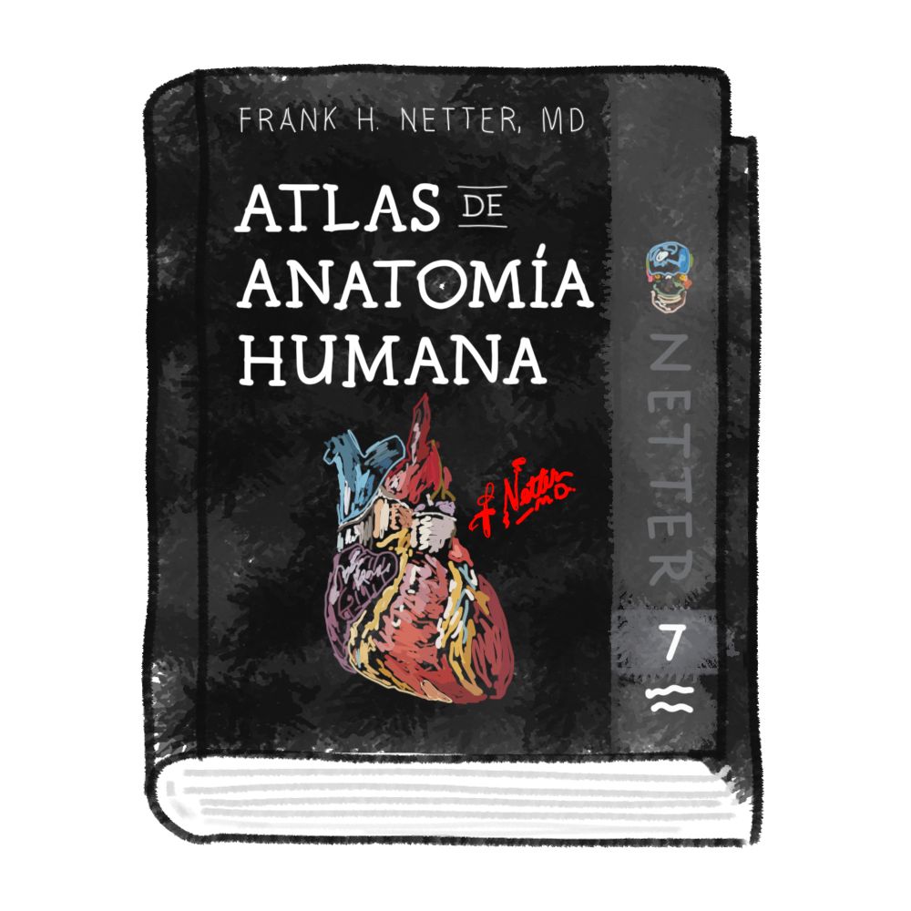 Atlas de anatomía humana