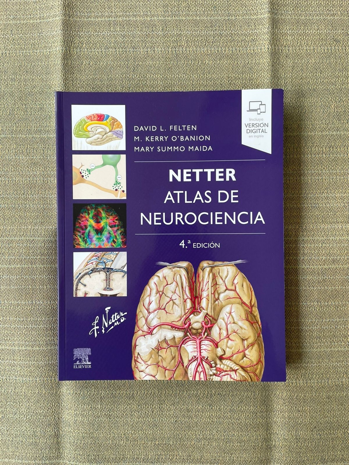 Netter. Atlas de neurociencia