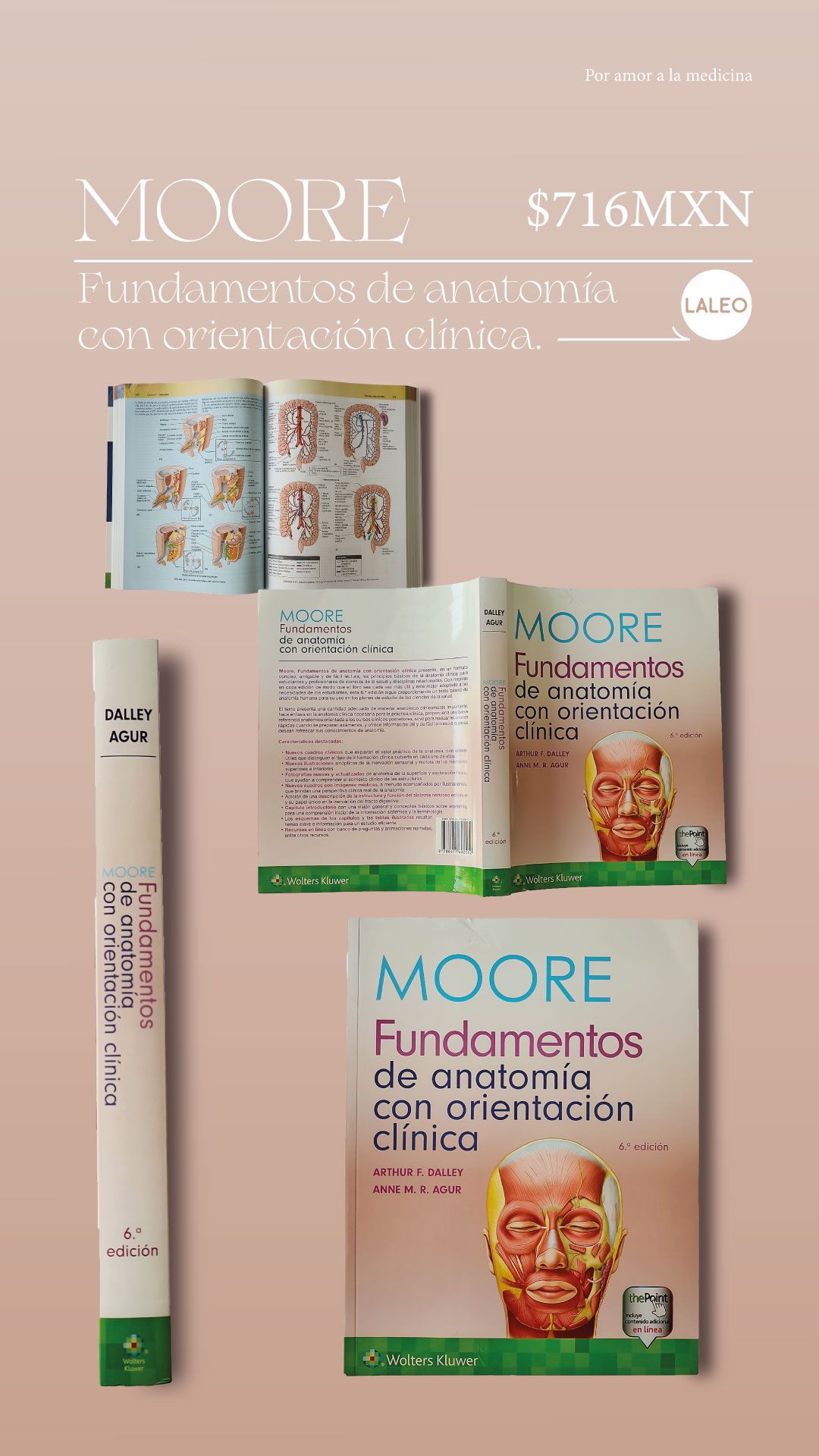 Moore. Fundamentos de anatomía con orientación clínica