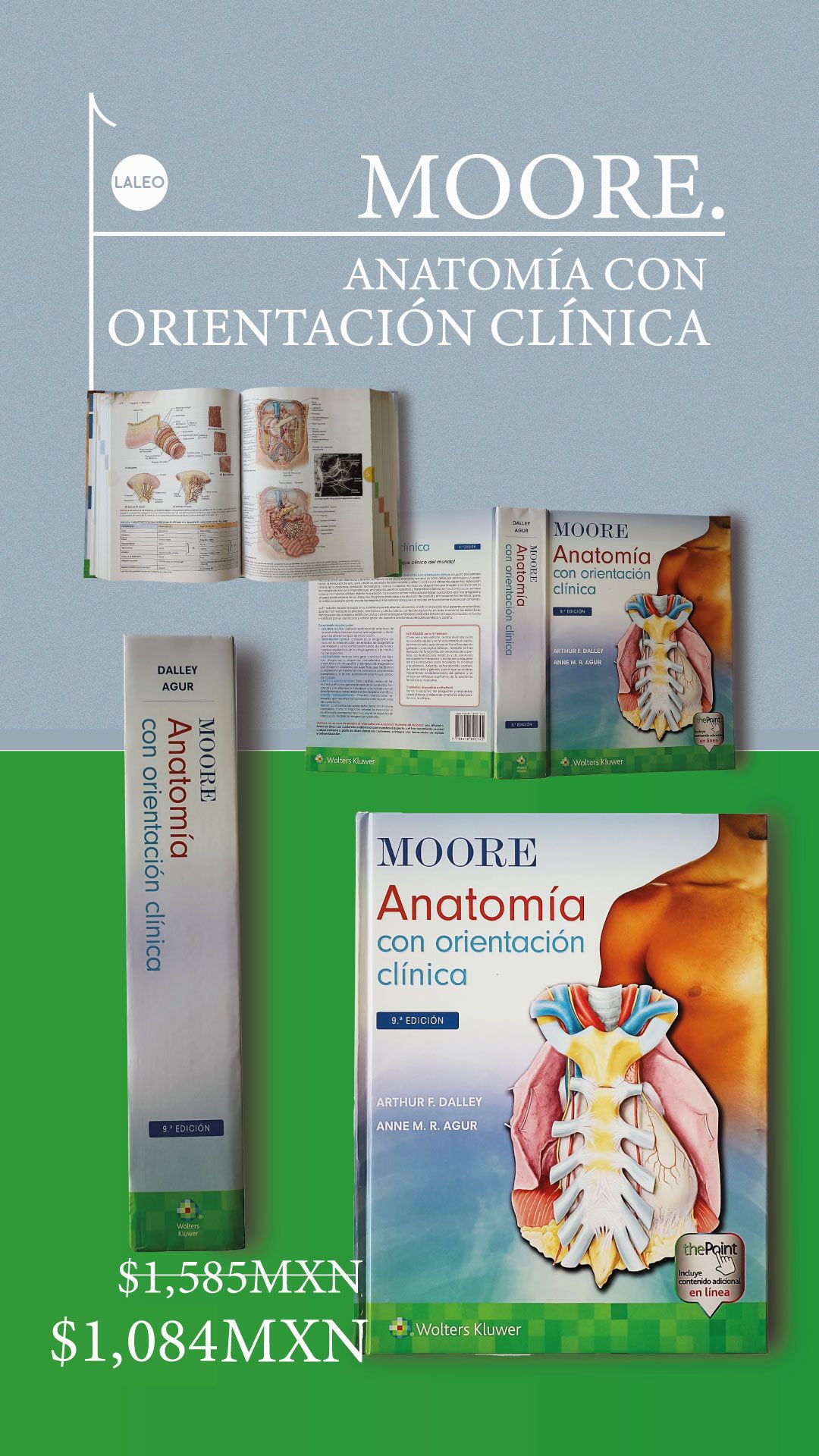 Moore. Anatomía con Orientación Clínica