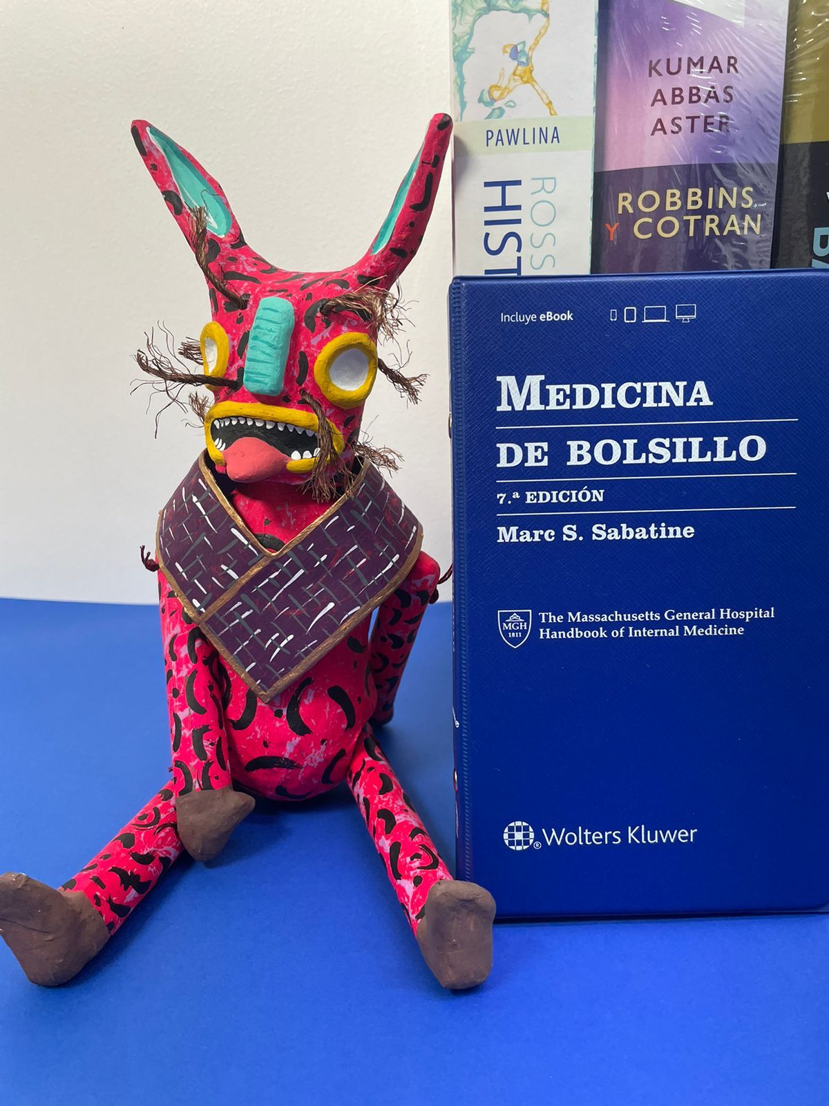 Medicina de bolsillo