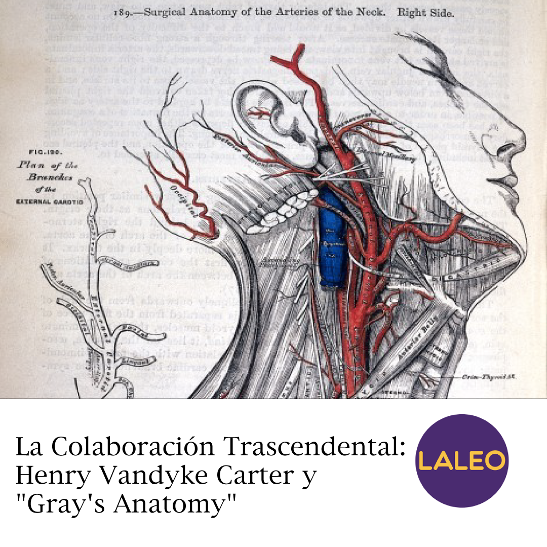 La Colaboración Trascendental: Henry Vandyke Carter y "Gray's Anatomy"