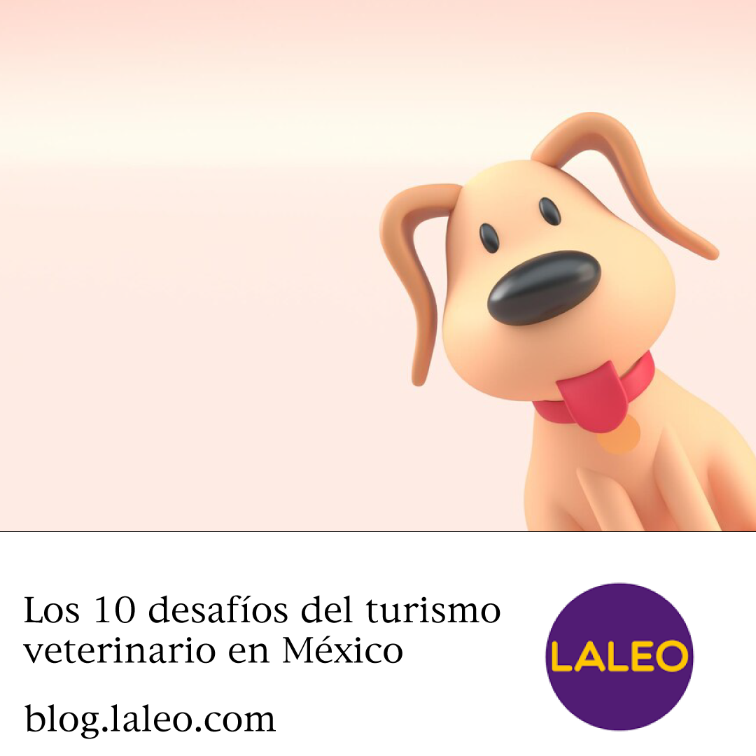 Los 10 desafíos del turismo veterinario en México: Una perspectiva desde el veterinario