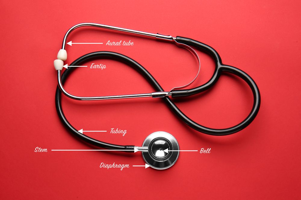 La anatomía de un Estetoscopio Littmann