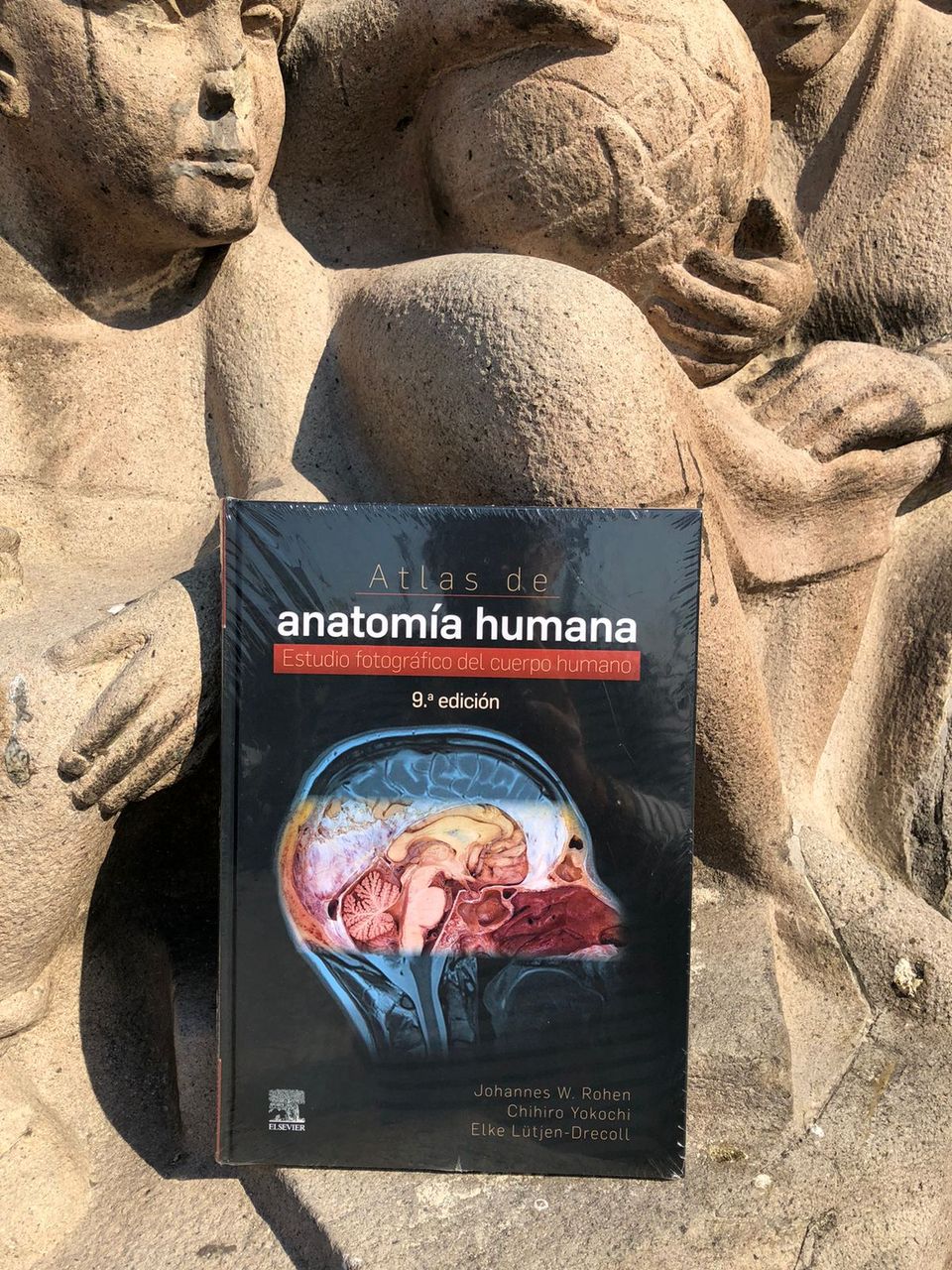 Atlas de anatomía humana