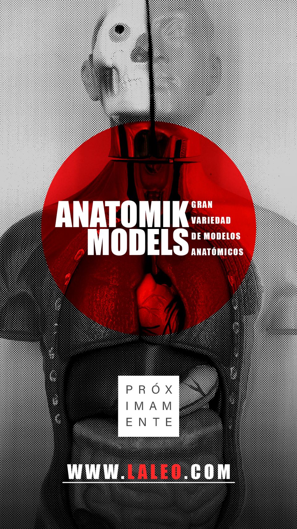 Anatomik Models.