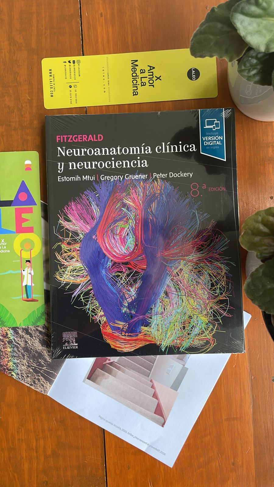 Fitzgerald. Neuroanatomía Clínica y Neurociencia