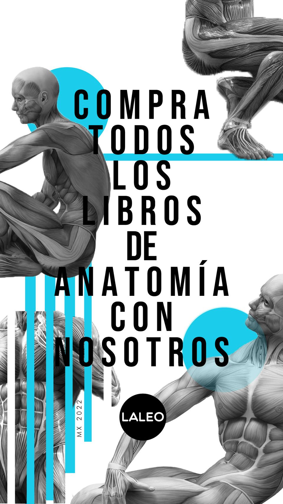 Descubre nuestra amplia selección de Libros de Anatomía para Regreso a Clases