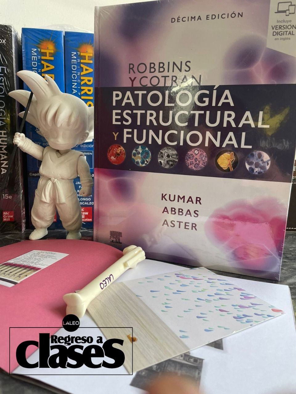 Robbins y Cotran. Patología estructural y funcional