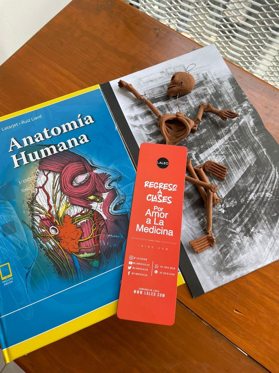 Anatomía humana 2 tomos