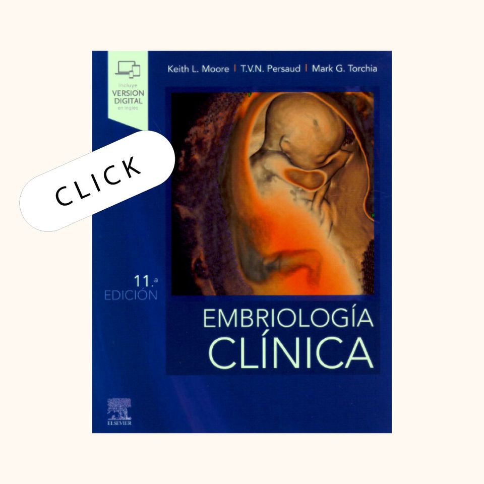 Moore. Embriología clínica