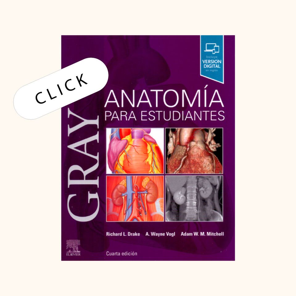 Gray. Anatomía para estudiantes