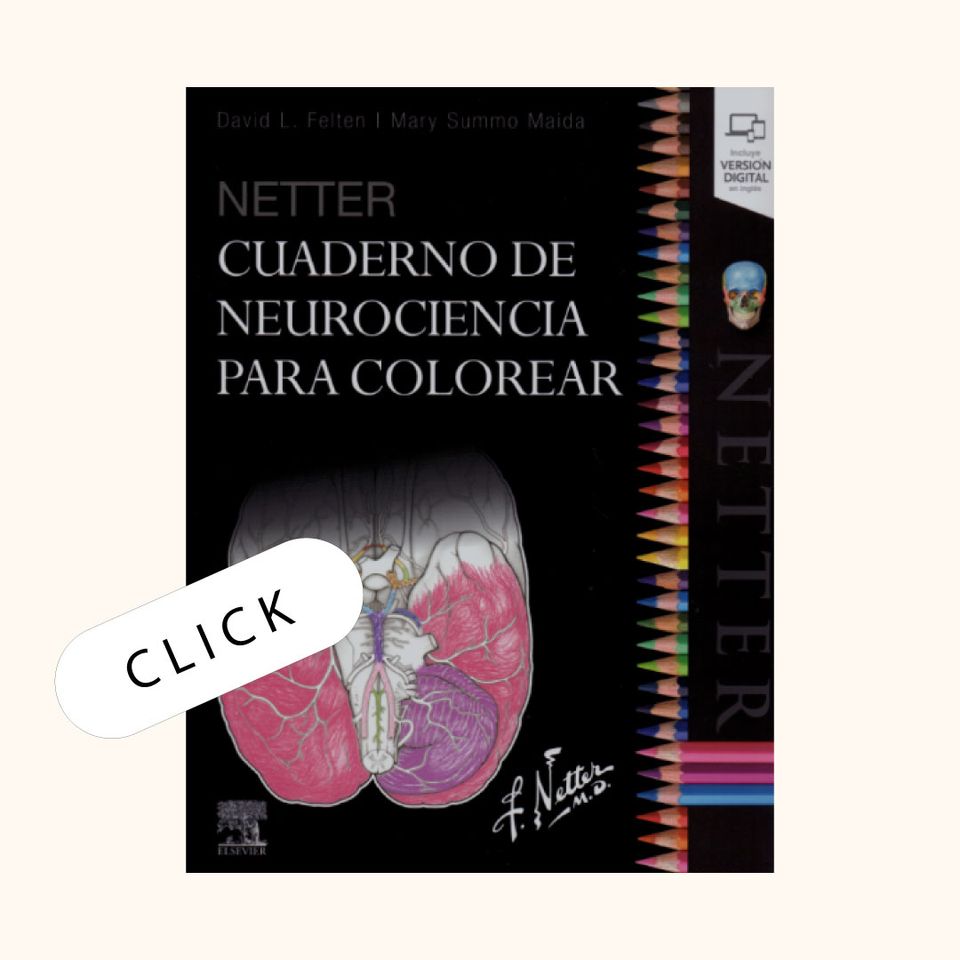 Netter. Cuaderno de neurociencia para colorear