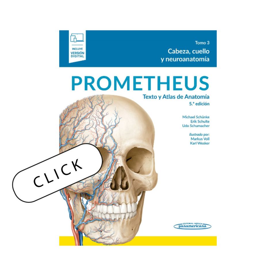 Prometheus. Texto y Atlas De Anatomía. Tomo 3: Cabeza, cuello y neuroanatomía