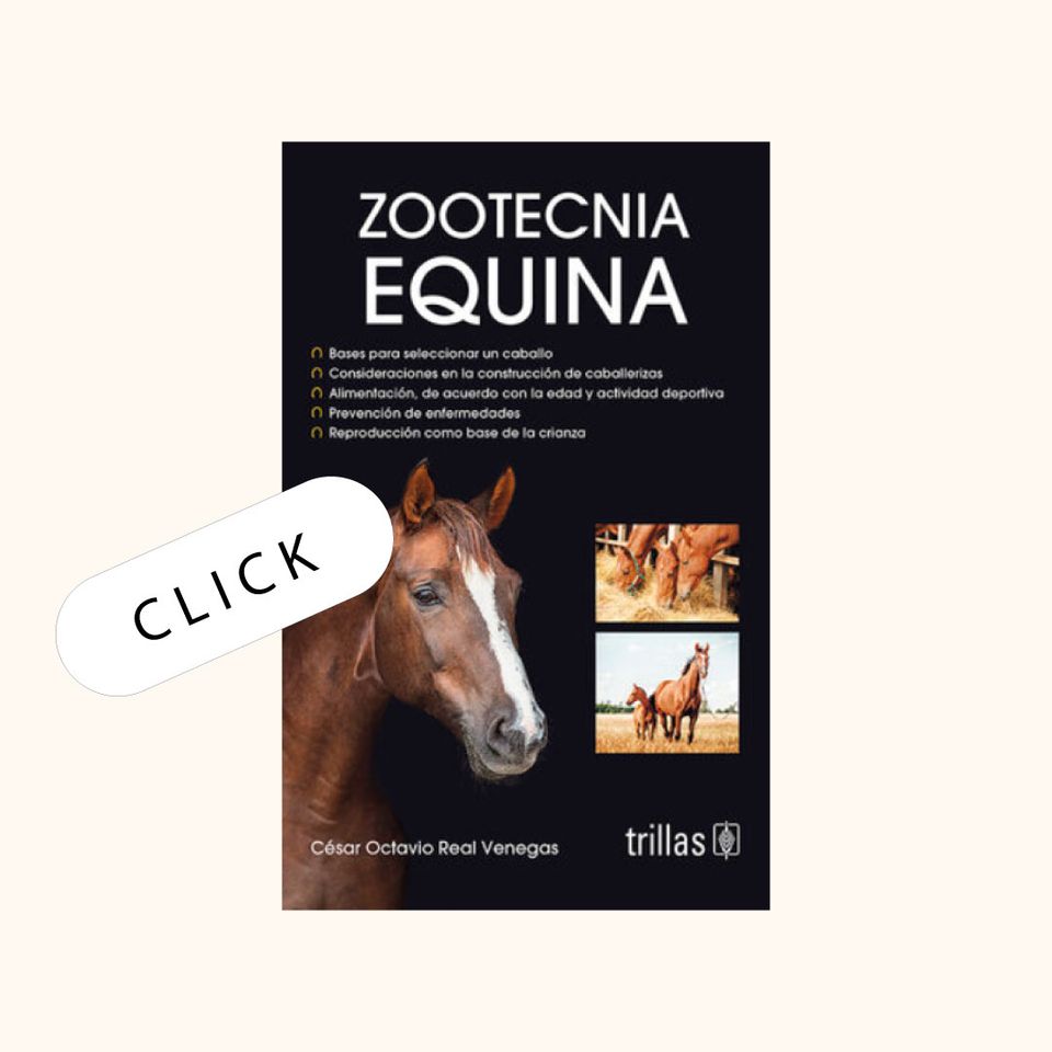 Zootecnia Equina