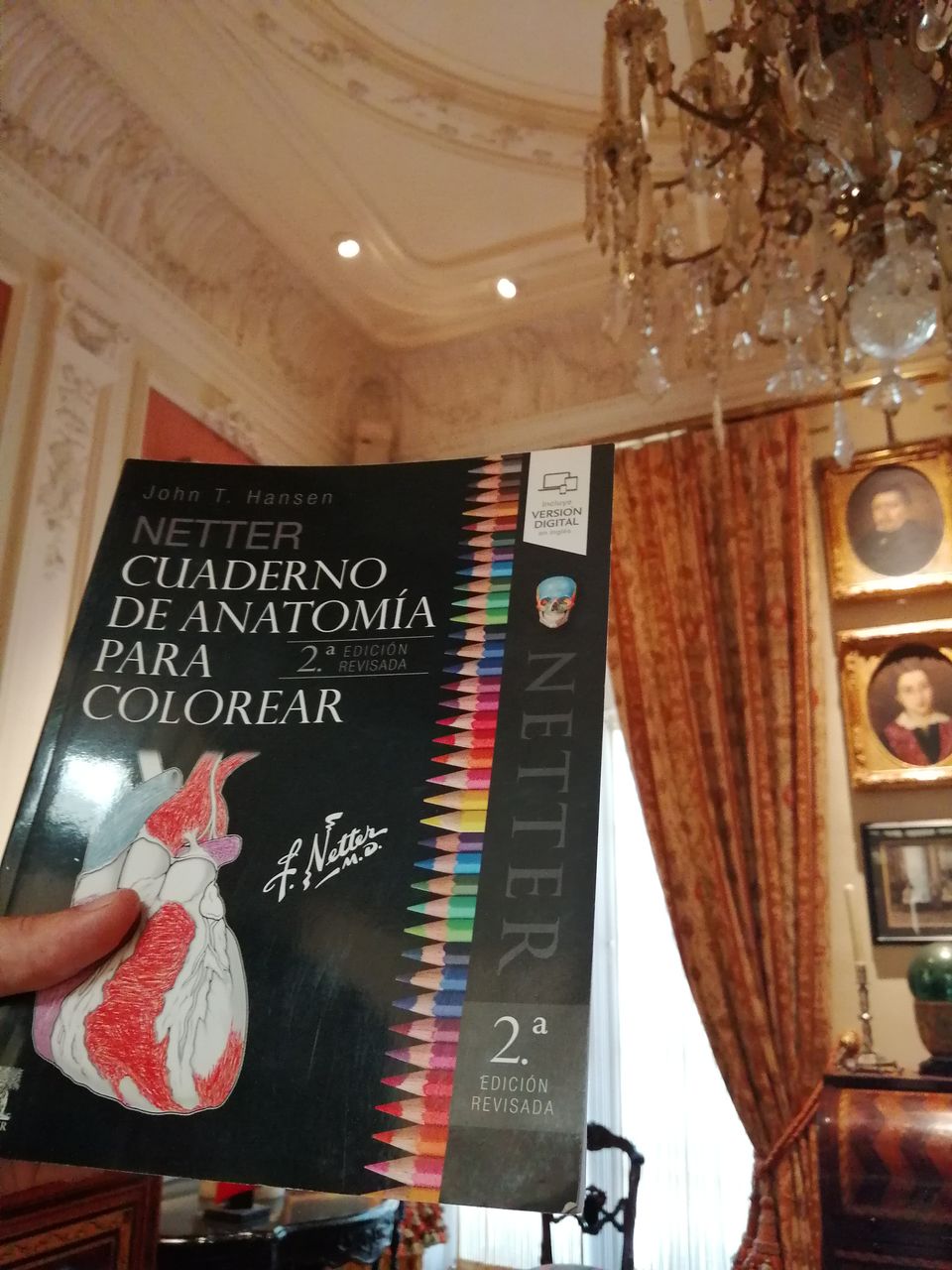 Netter Cuaderno de anatomía para colorear