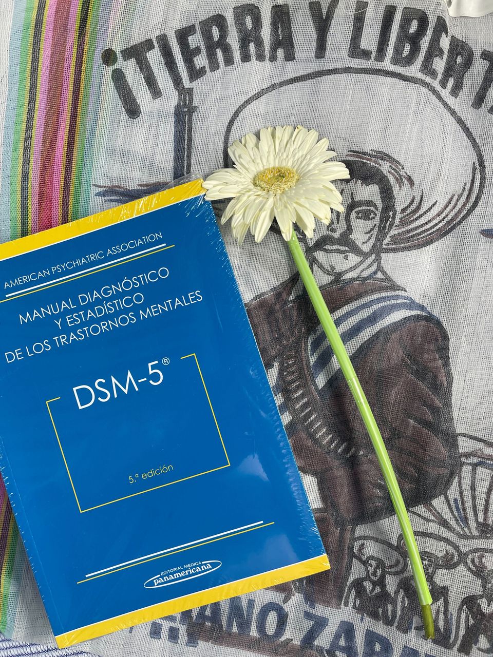 DSM-5. Manual Diagnóstico y Estadístico de los Trastornos Mentales