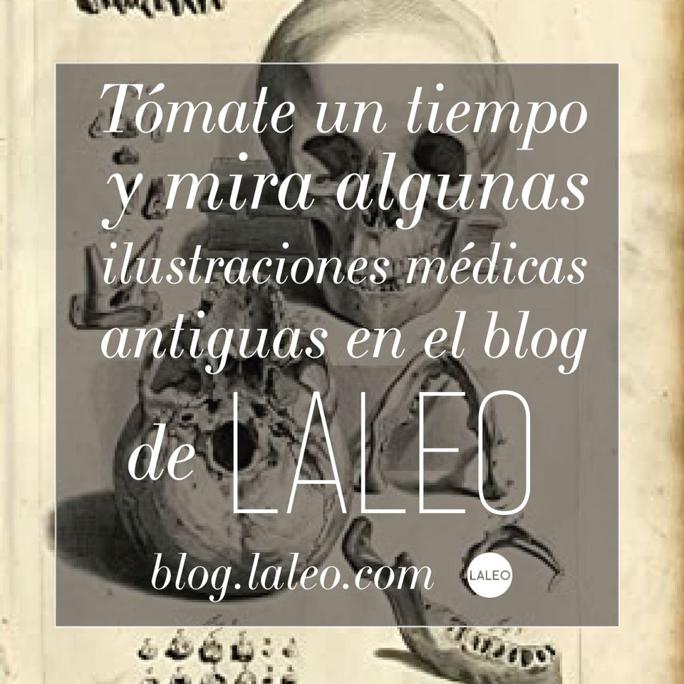 Tómate un tiempo y mira algunas ilustraciones médicas antiguas en el blog de laleo