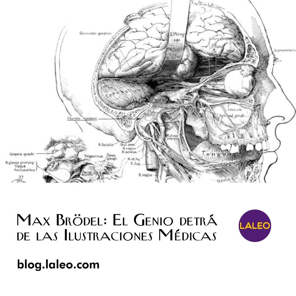 Max Brödel: El Genio detrás de las Ilustraciones Médicas