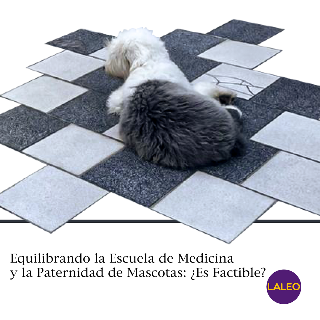 Equilibrando la Escuela de Medicina y la Paternidad de Mascotas: ¿Es Factible?