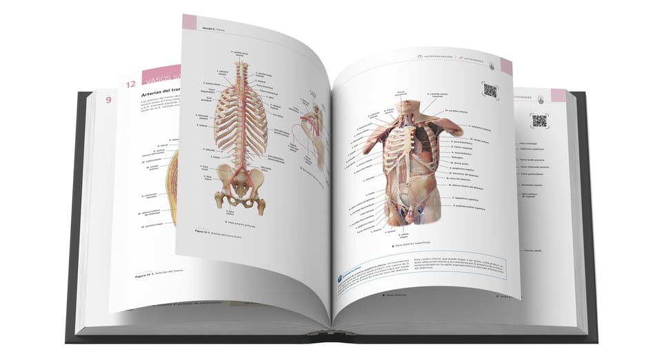 Explorando el cuerpo humano con "EVA Anatomía: Atlas de la Nueva Era de la Anatomía"