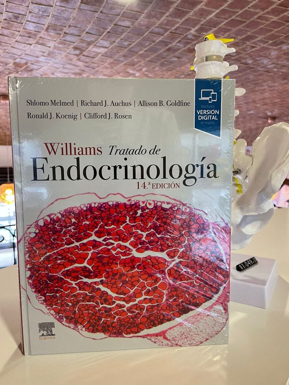 Explorando los fundamentos de la endocrinología: Un recorrido por Williams, Tratado de Endocrinología de Shlomo Melmed
